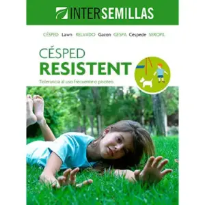 CESPED RESISTENT